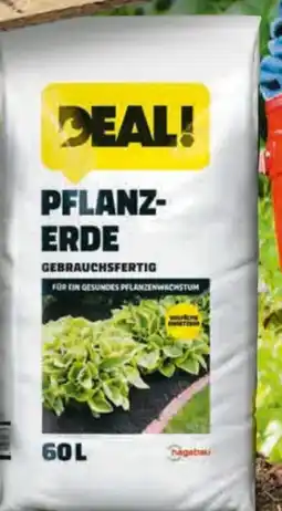 Hagebau Deal! Pflanzerde Angebot