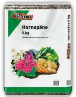 Hagebau Go/On! Hornspäne Angebot
