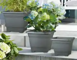 Hagebau Scheurich Pflanzgefäß Nora Angebot