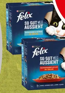 Spar Purina Felix Katzennahrung Angebot