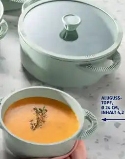 Hofer Crofton Aluguss-Topf Angebot