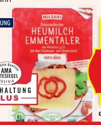 Hofer Milsani Emmentaler Angebot