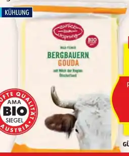 Hofer Zurück zum Ursprung Bio-Gouda Angebot