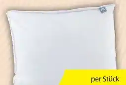 Hofer Irisette Sensible Polster Angebot