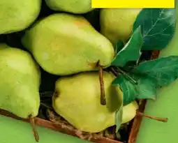 Hofer Hofer Marktplatz Birnen Xenia Angebot