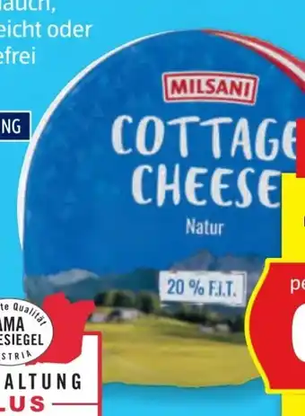 Hofer Milsani Cottage Cheese Angebot