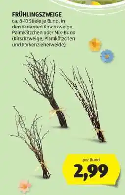 Hofer Frühlingszweige Angebot