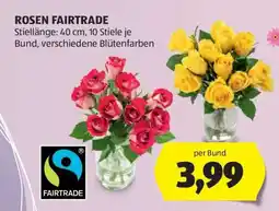 Hofer ROSEN FAIRTRADE Angebot
