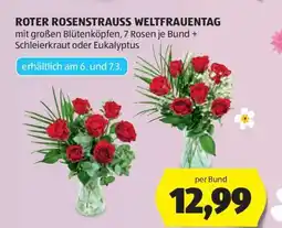 Hofer ROTER ROSENSTRAUSS WELTFRAUENTAG Angebot