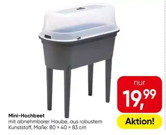 Mini-/Hochbeet