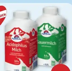 PENNY Kärntnermilch Acidophilus Milch Angebot