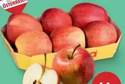 PENNY Apfeltasse Evelina Angebot