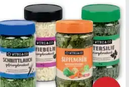 PENNY Würz & Co Kräuter Angebot