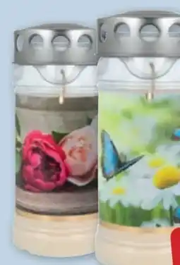 PENNY Hofer Kerzen 5-Tage-Grablicht Angebot