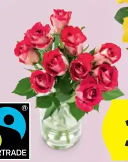 Hofer Fairtrade Rosen Angebot