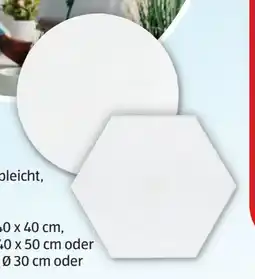 Hofer Home Creation Blanko Leinwand Angebot