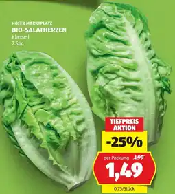 Hofer Hofer marktplatz bio salatherzen Angebot
