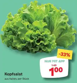 MPreis Kopfsalat Angebot
