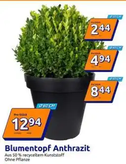 Action Blumentopf Anthrazit Angebot