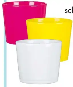 Hellweg Scheurich Übertopf Angebot