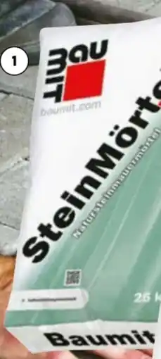 Hellweg Baumit Steinmörtel Plus Angebot