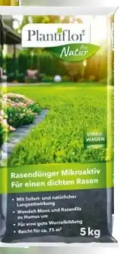 Hellweg Plantiflor Rasendünger Angebot