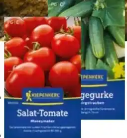 Hellweg Kiepenkerl Saatgut Angebot