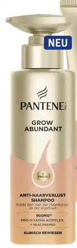 dm Pantene Pro-V Grow Abundant Shampoo Angebot