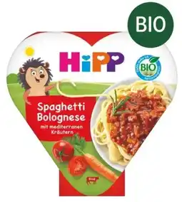 dm Hipp Kinderteller Spaghetti Bolognese Angebot