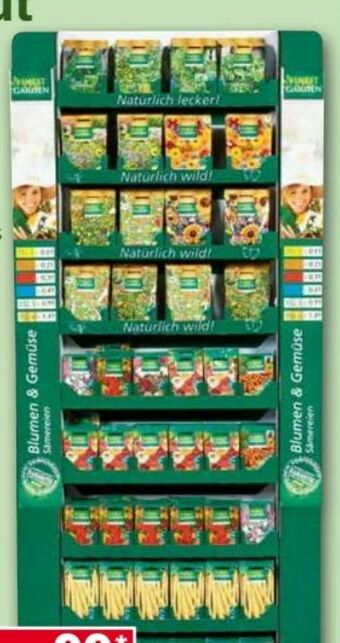 Norma Samen Angebot