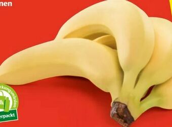 Hofer Bananen Angebot