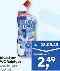 ADEG Blue Star WC Reiniger Angebot