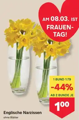 MPreis Englische Narzissen Angebot