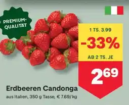 MPreis Erdbeeren Candonga Angebot