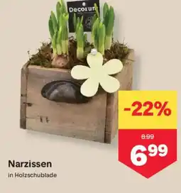 MPreis Narzissen Angebot