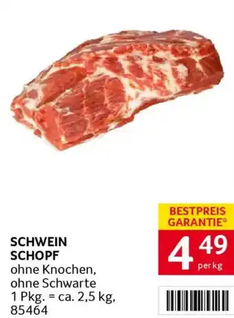 Schwein schopf