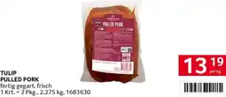 Transgourmet Tulip pulled pork Angebot