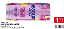 Transgourmet Absolut raspberry lemonade Angebot