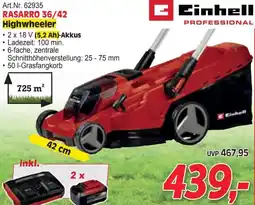 Zgonc Rasarro 36 42 Angebot