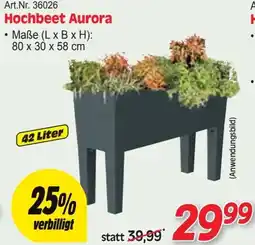 Zgonc Hochbeet Aurora Angebot