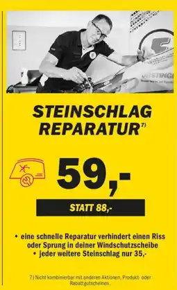 Forstinger Steinschlag reparatur Angebot