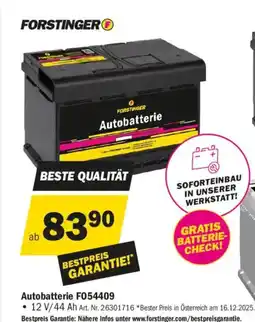 Forstinger Autobatterie F054409 Angebot