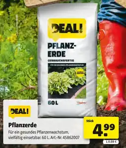 Liebmarkt Pflanzerde Angebot