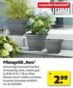 Liebmarkt Pflanzgefäß Nora Angebot