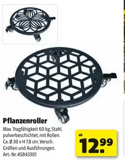 Liebmarkt Pflanzenroller Angebot