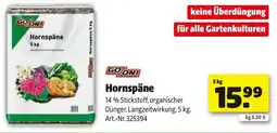 Liebmarkt Hornspäne Angebot
