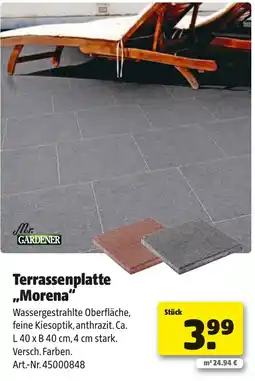 Liebmarkt Terrassenplatte morena Angebot