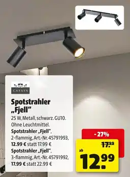Liebmarkt Spotstrahler fjell Angebot