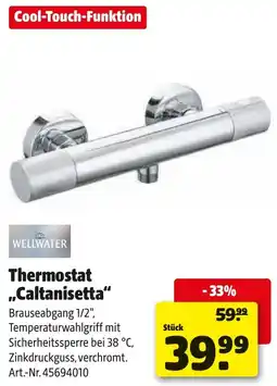Liebmarkt Thermostat caltanisetta Angebot