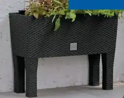 Lidl Parkside Hochbeet Angebot